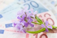 Nova Flor investe em ações de SEO