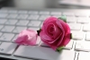 Flores são a preferência nacional no Dia dos Namorados, aponta Google