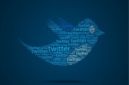 Estudo "10 Quick Facts You Should Know About Consumer Behavior on Twitter”