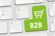 B2B - Chegou a hora da Indústria e do Atacado no E-Commerce