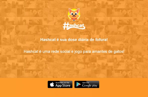 Hashcat convida ONGs para participarem de ação social